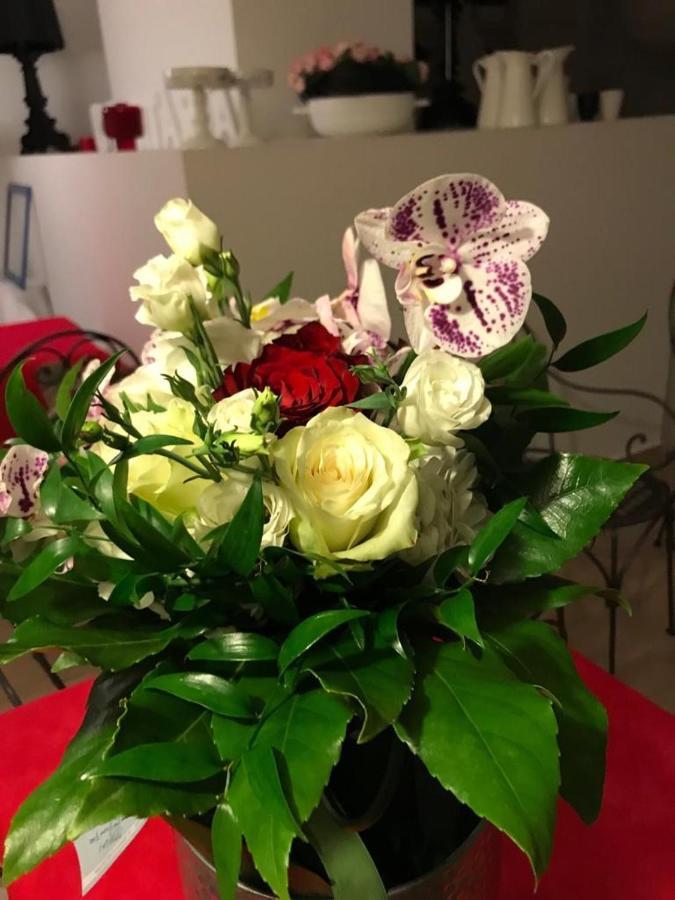 Ascoli Bonjour B&B & Apartments Parcheggio Privato & Giardino 아스콜리피체노 외부 사진
